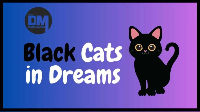 black cat in dream