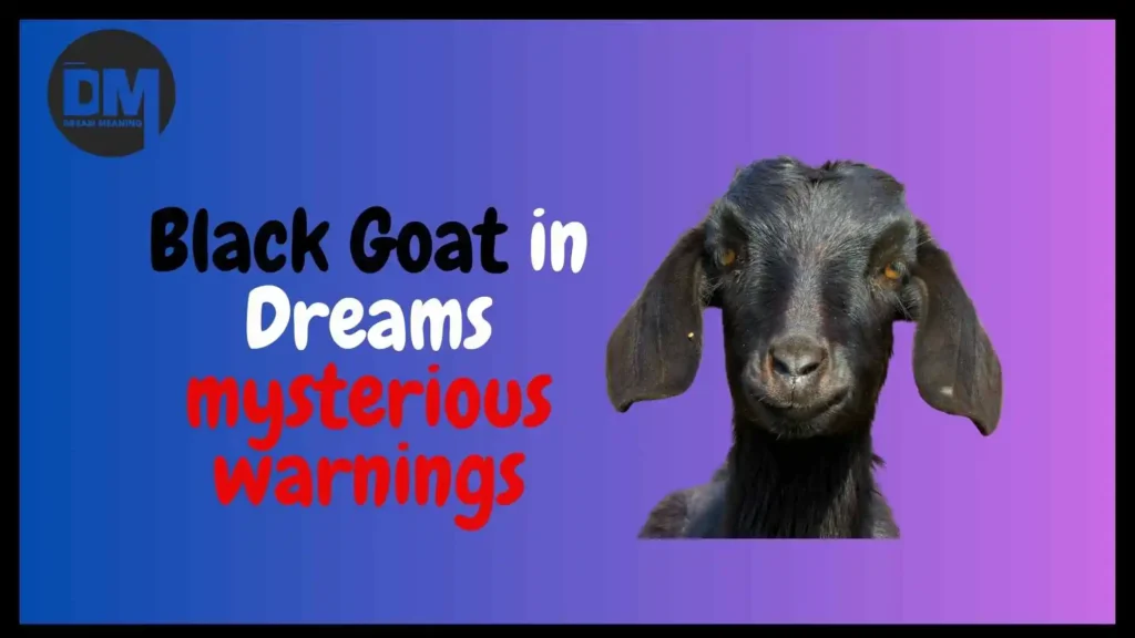 black goat in dreams