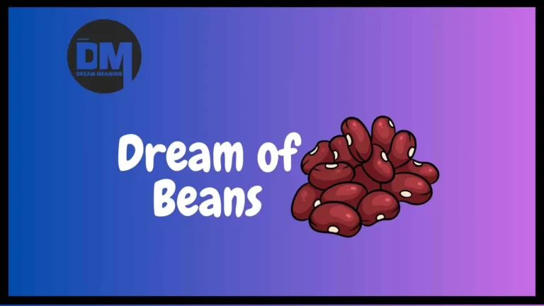 bean in dream meaning