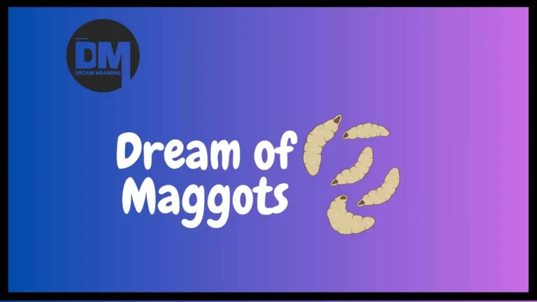 dreaming of maggots