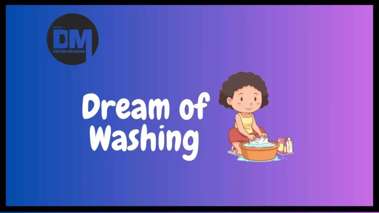 dream of washing