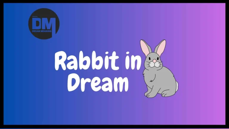 dream of rabbit