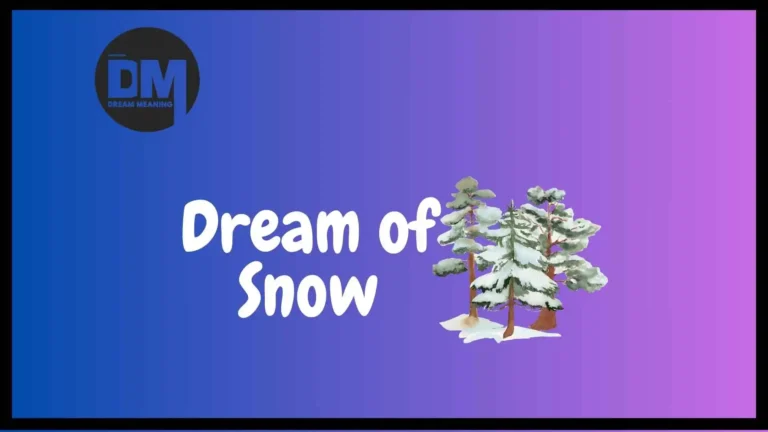 dream of snow