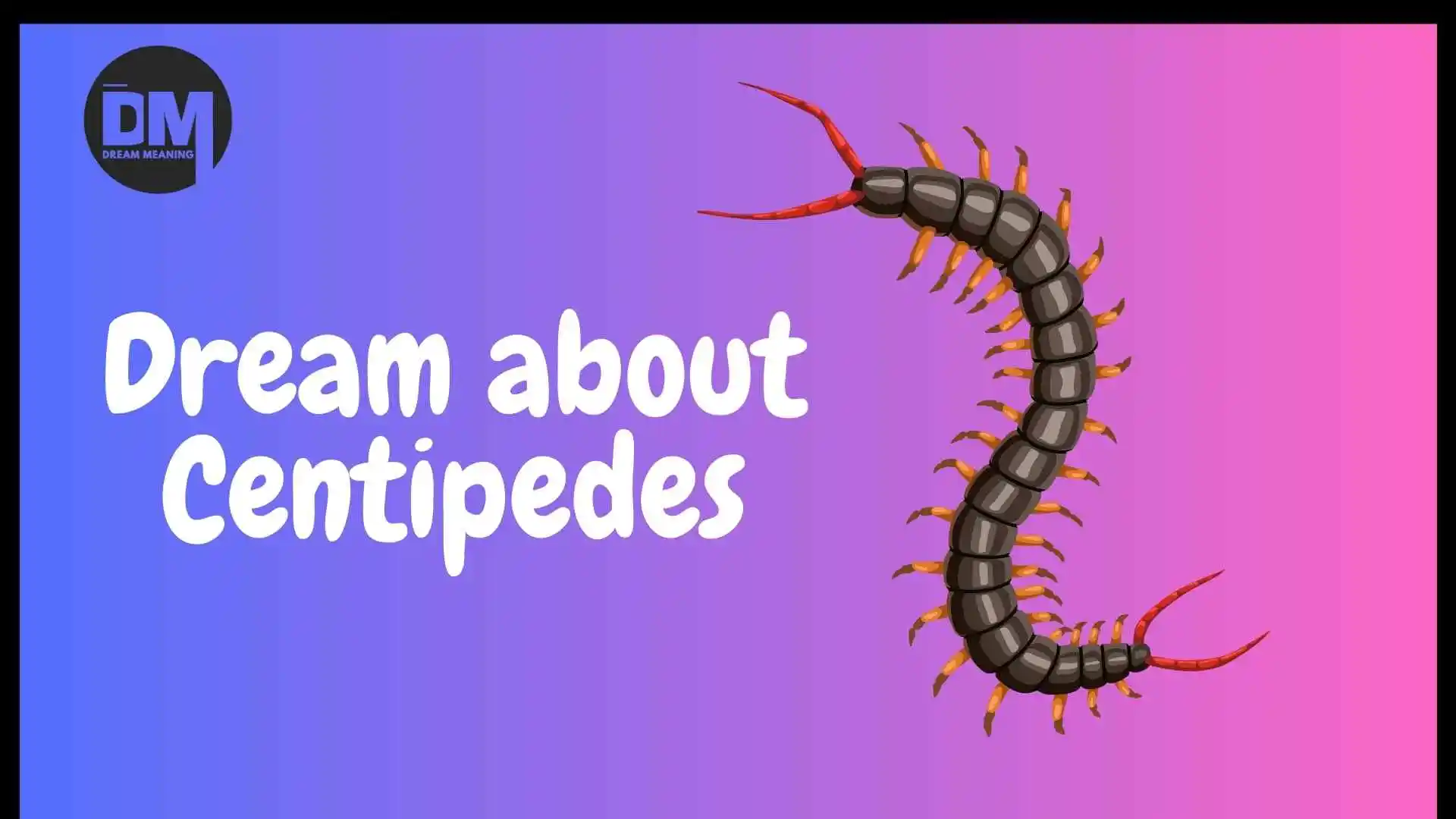 dream about centipedes